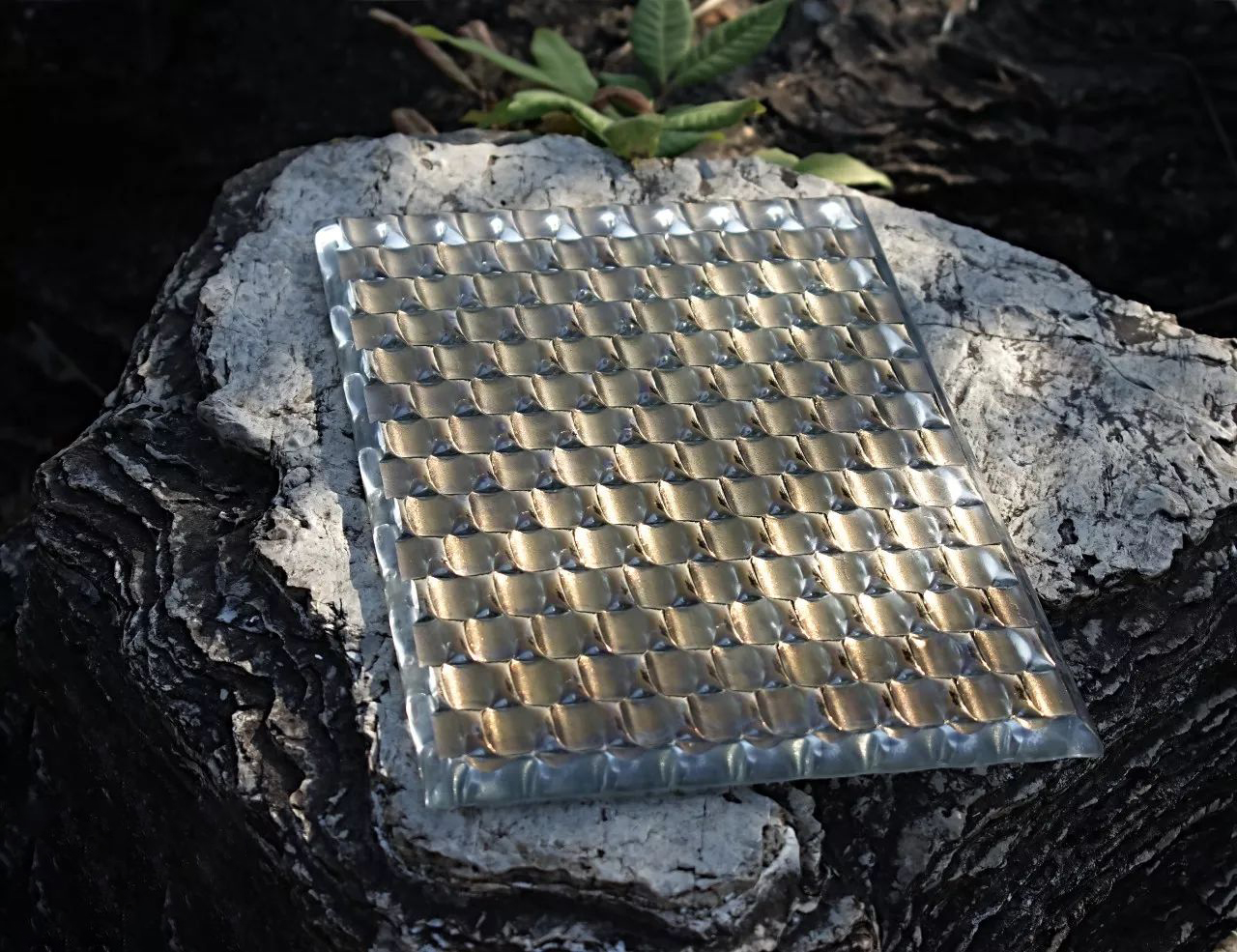 微信图片_20200311161548