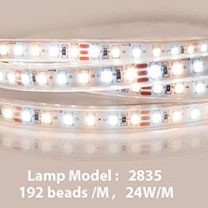 b36c2568-5ec8-4d50-8e26-90439aac0ee1.__CR0,0,3543,3543_PT0_SX300_V1___