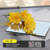 ShaHe wholesale 0.8mm 1mm thin light color mirror sheets